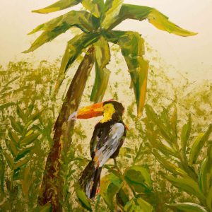Tucan 2019